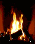 pic for eld fine